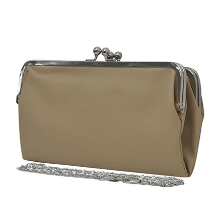 Elegant Beige Clutch Bag
