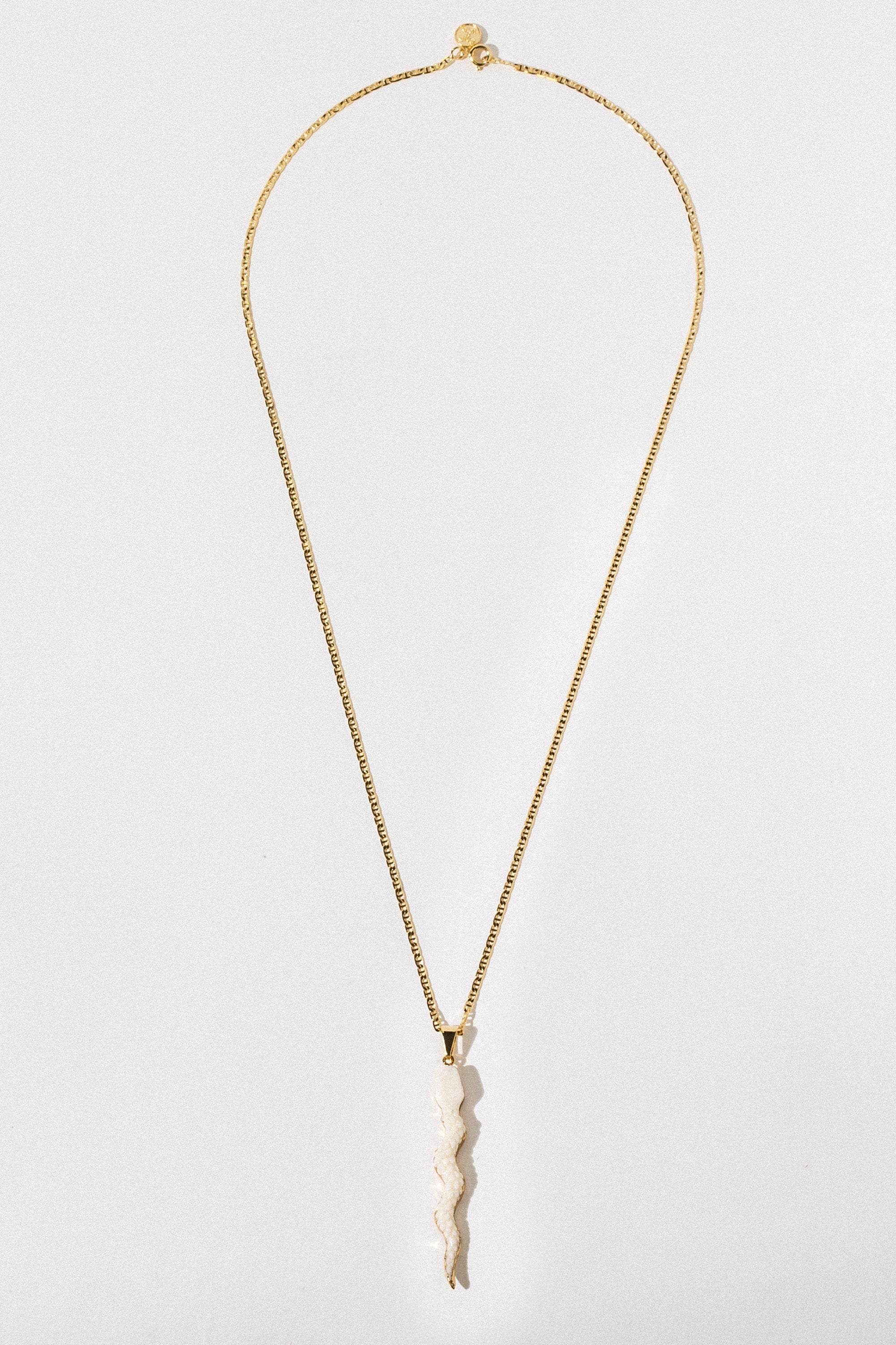Elegant Serpentine Charm Necklace